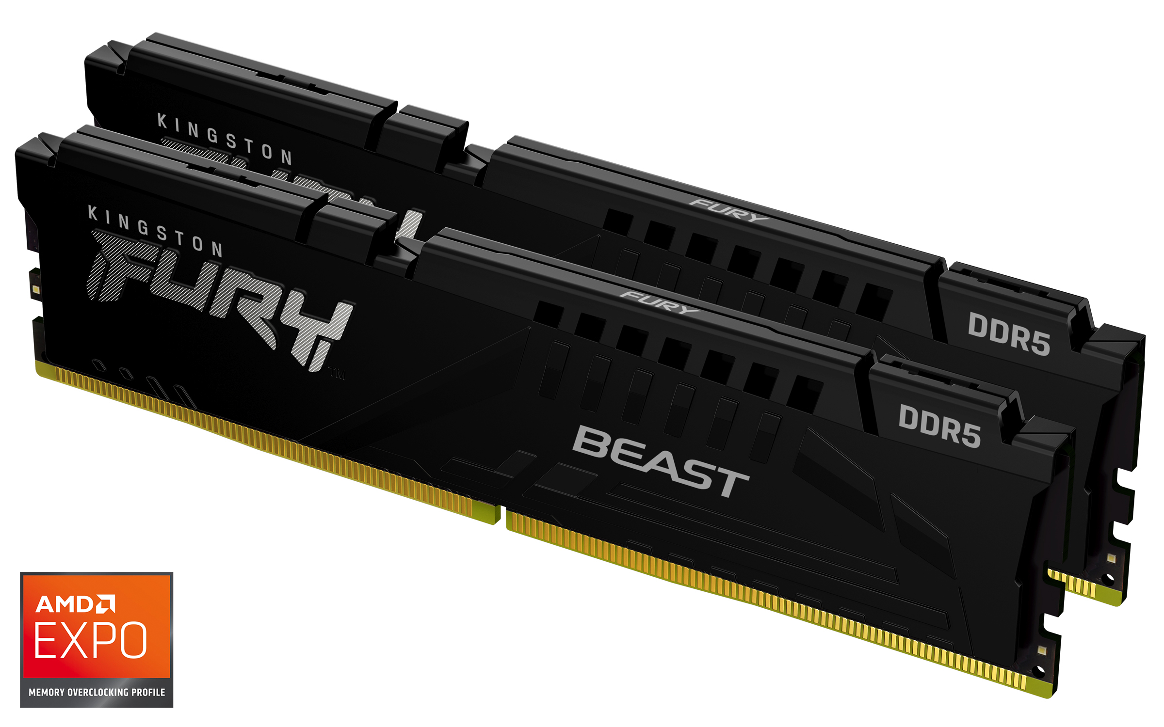 Kingston Fury Beast DIMM DDR5 32GB 5600MHz černá (Kit 2x16GB)