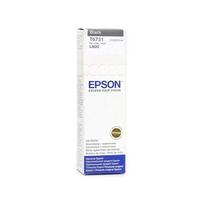 Epson T6731 Black, černá