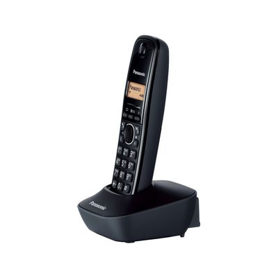 Panasonic KX-TG1611FXH