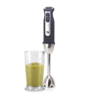 G21 VitalStick Pro black tyčový mixér, 1000W