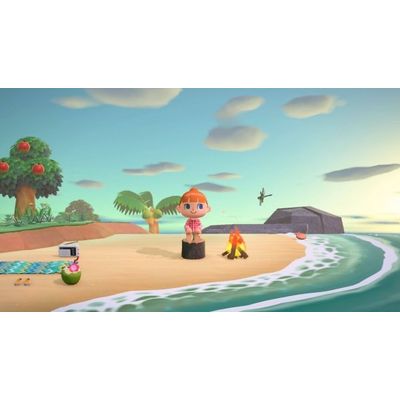 Switch - Animal Crossing: New Horizons