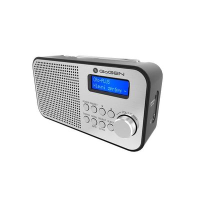 GoGEN DAB 300 N, stříbrný
