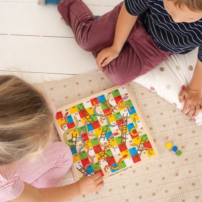 Bigjigs Toys Hadi a žebříky 2