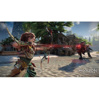 PS4 hra - Horizon: Forbidden West