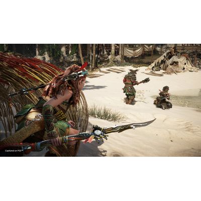 PS5 hra - Horizon: Forbidden West