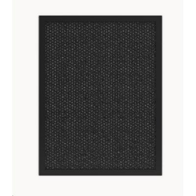 TESLA Smart Air Purifier Pro L Carbon Filter