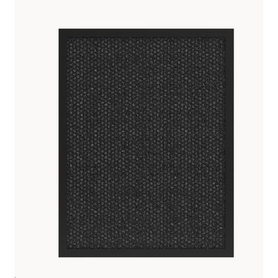 TESLA Smart Air Purifier Pro XL Carbon Filter
