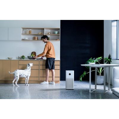 Xiaomi Smart Air Purifier 4 EU