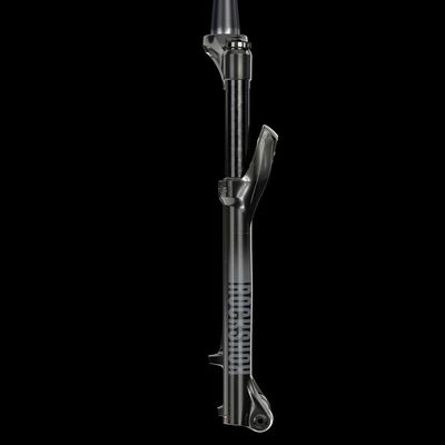 Vidlice RockShox Recon Silver RL - 29 TPR - Solo Air - 100mm zdvih, 15x110mm - odpružená vidlice