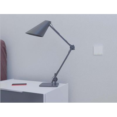 Tesla Smart Switch Dual