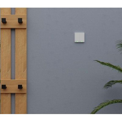Tesla Smart Switch Dual