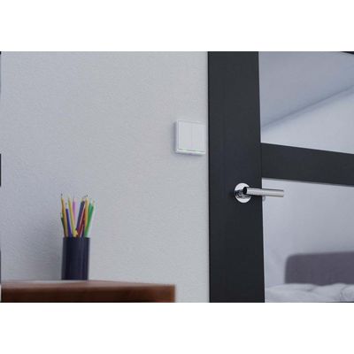 Tesla Smart Switch Dual