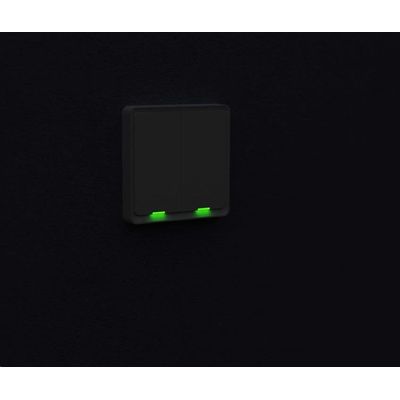 Tesla Smart Switch Dual