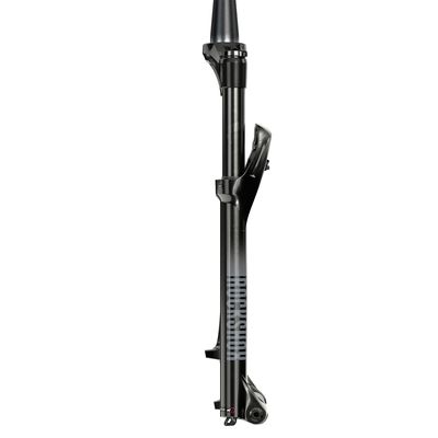 Vidlice RockShox Judy Gold RL - Crown 29 Boost 15x110 120mm, černá, Alum Str Tpr 51offs