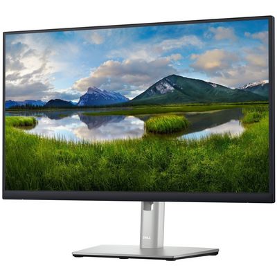 DELL Professional P2423D (210-BDEG)