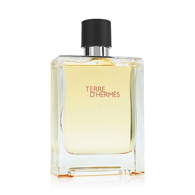 Hermes Terre dHermes EdT 100ml