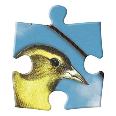 Galison Oboustranné puzzle Ptačí symfonie 250 dílků