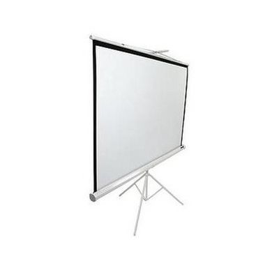 ELITE SCREENS T113NWS1