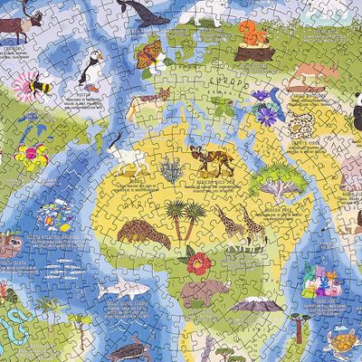 Ridleys Games Puzzle ohrožený svět 1000 dílků