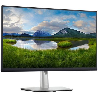DELL Professional P2423DE (210-BDDW)