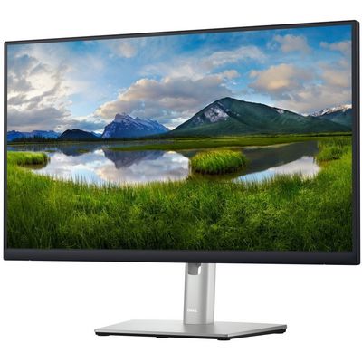 DELL Professional P2423DE (210-BDDW)