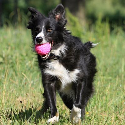 Kiwi Walker Plovací míček z TPR pěny, růžová, 7 cm