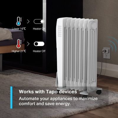 TP-Link Tapo T310