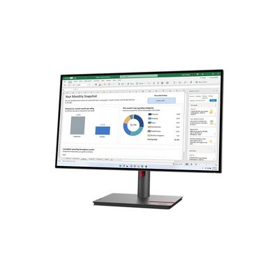 Lenovo ThinkVision P24Q-30 (63B4GAT6EU)