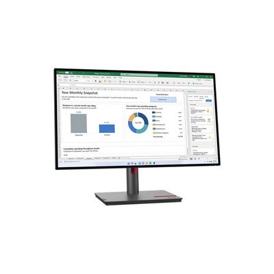 Lenovo ThinkVision P24Q-30 (63B4GAT6EU)