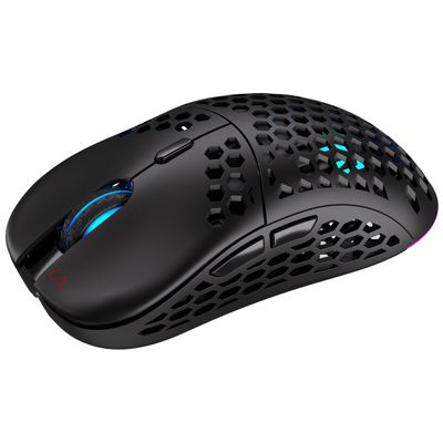 Endorfy LIX Wireless, černá