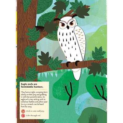 Chronicle Books Kniha aktivit se samolepkami my nature Ptáci světa