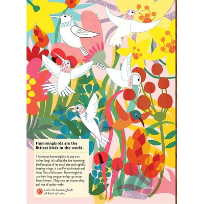 Chronicle Books Kniha aktivit se samolepkami my nature Ptáci světa