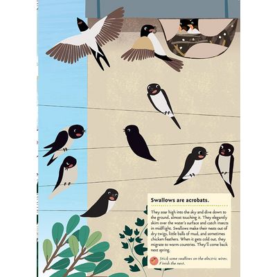 Chronicle Books Kniha aktivit se samolepkami my nature Ptáci světa