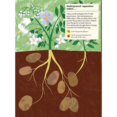 Chronicle Books Kniha aktivit se samolepkami my nature V zeleninové zahradě