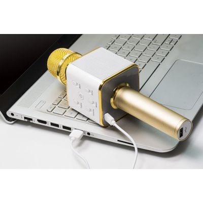 Technaxx BT-X31 Bluetooth karaoke mikrofon