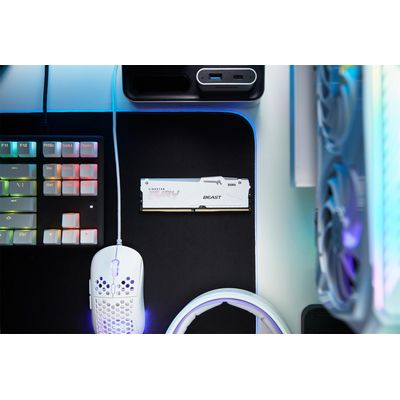 Paměť Kingston FURY Beast DDR5 RGB 64GB 5600MHz, XMP, bílá (Kit 2x 32GB)