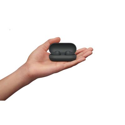 Sony True Wireless WF-C700N, černá