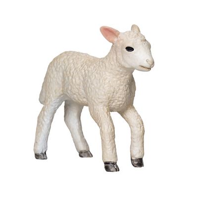 Mojo Jehňátko romney marsh běžící