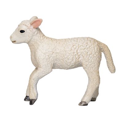 Mojo Jehňátko romney marsh běžící