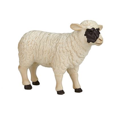 Mojo Hampshire ovce