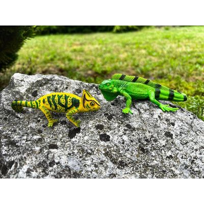 Mojo Chameleon