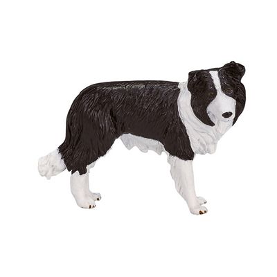 Mojo Border kolie