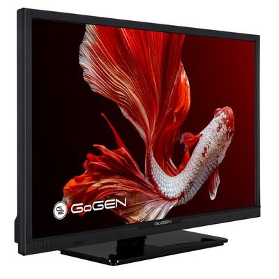 24 Gogen TVH 24P352T