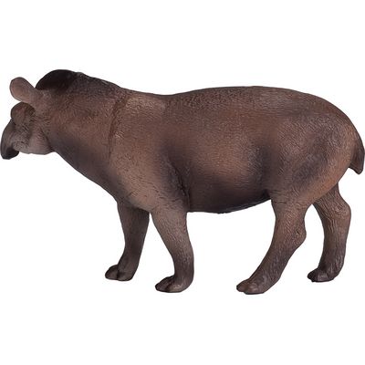Mojo Tapír jihoamerický