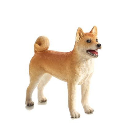 Mojo Pes shiba-inu