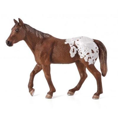 Mojo Appaloosa hřebec blanket