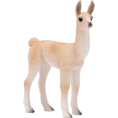 Mojo Lama mládě