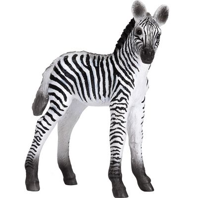 Mojo Zebra mládě