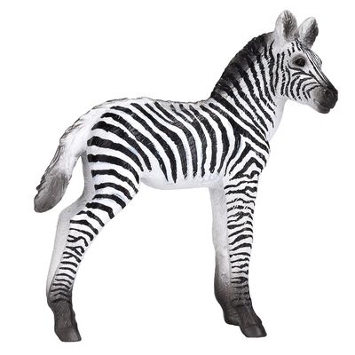 Mojo Zebra mládě