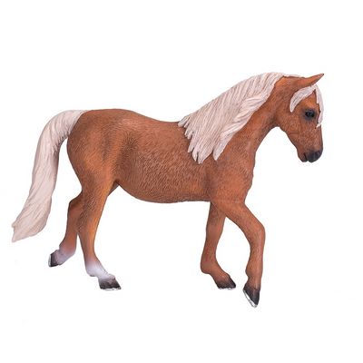 Mojo Kůň morgan palomino